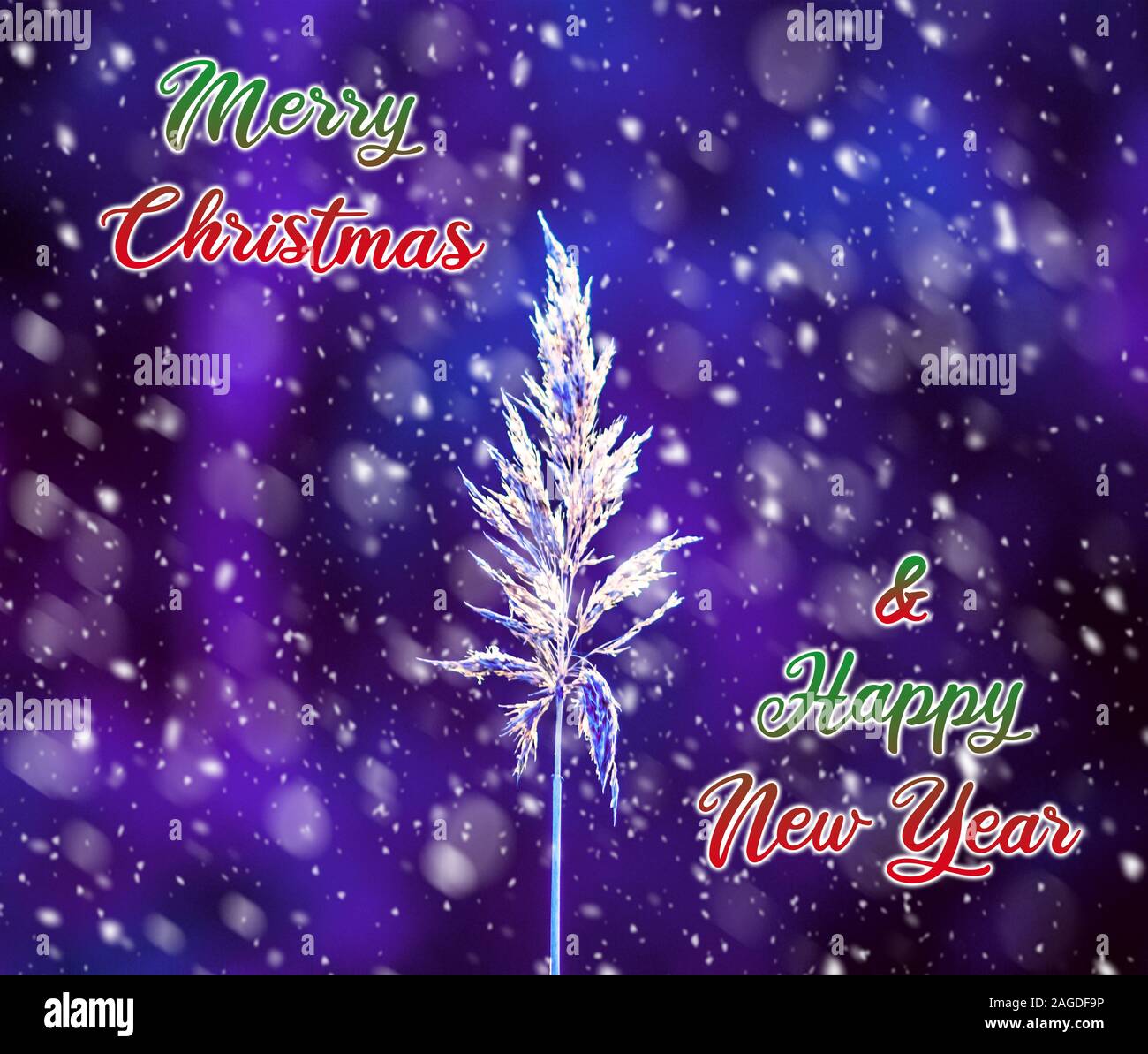 Illustration of a Christmas and New Year poster with a fir tree branch ...