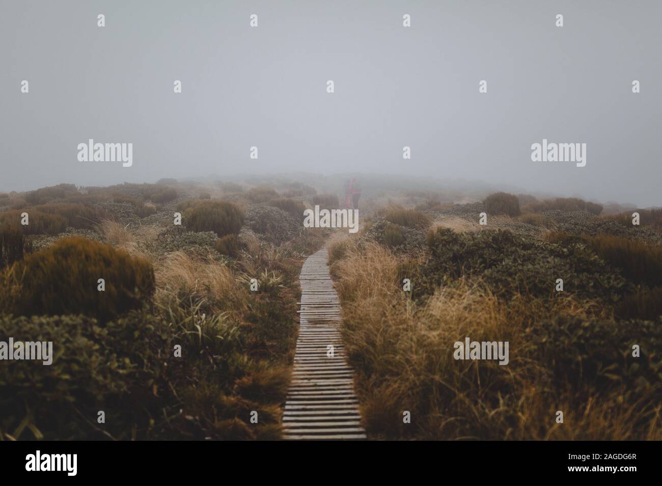 High angle shot of a wooden path covered with fog in the Mount Taranaki, New Zealand Stock Photo