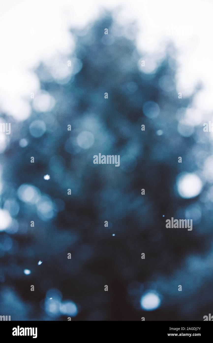 Beautiful scenery of falling snow in focus and a pine tree in a blur in ...