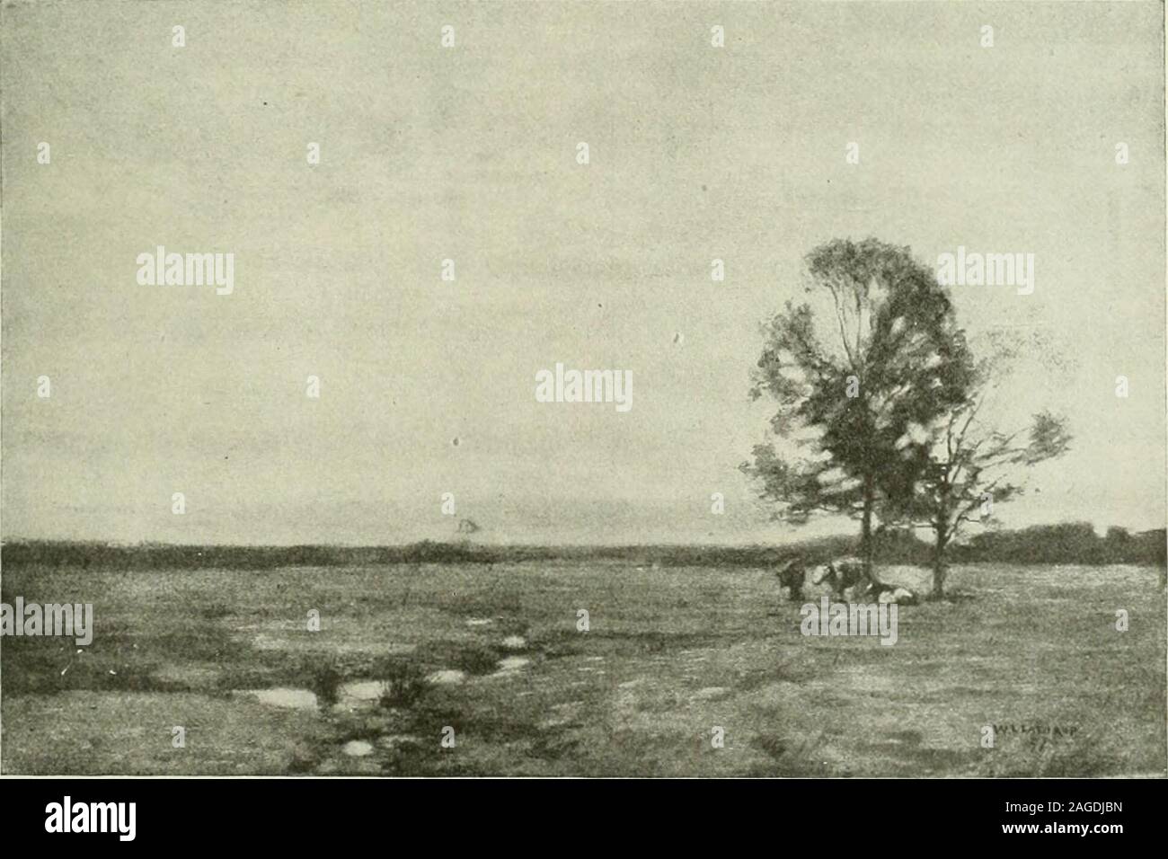 . International studio. COTTAGE IN DECAY AT CHESTER SPRINGS E ...