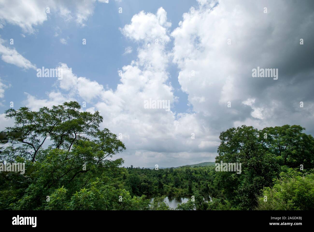 Beautiful Landscape with trees and mountain Stock Photo - Alamy