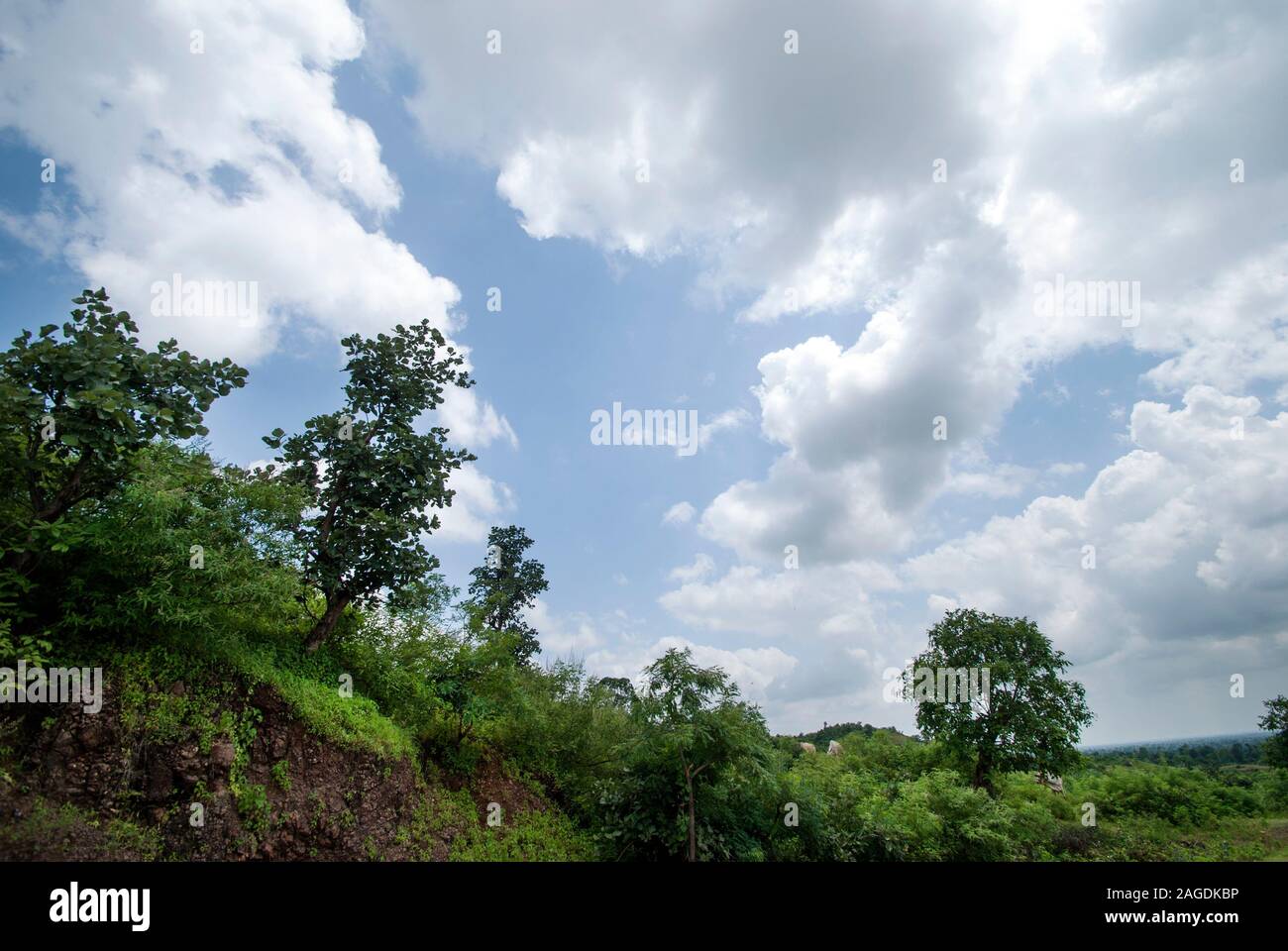 Beautiful Landscape with trees and mountain Stock Photo - Alamy
