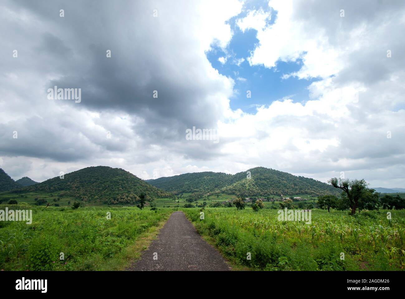 Beautiful Landscape with trees and mountain Stock Photo - Alamy