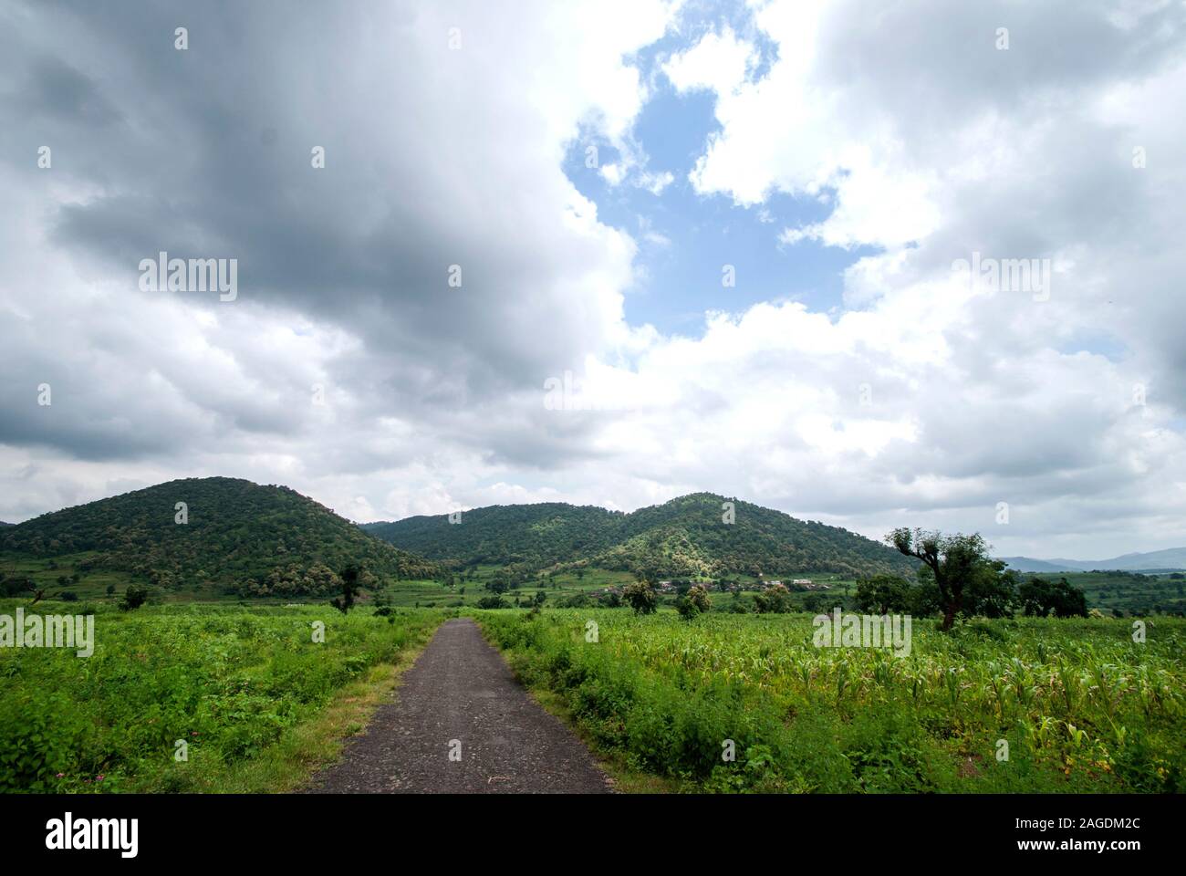 Beautiful Landscape with trees and mountain Stock Photo - Alamy