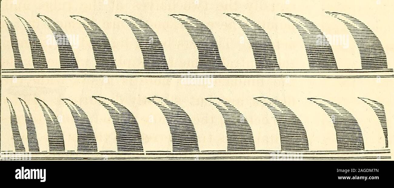 . Machinery and processes of the industrial arts, and apparatus of the exact sciences. of their varying brightness to be dis-tinguished. But if a plane mirror placed by the side of the jets be rap-idly revolved around a vertical axis, each of the apparently single flameswill be resolved into a row of separate flames; and then the fact willbe manifest that all the separate images in each row fall into the darkintervals between the images of the other row. The appearance pre-sented by these flames is shown in the annexed figure. When one of Fig. 104. i 4 i Manometric Flames—tubes in unison. the Stock Photo