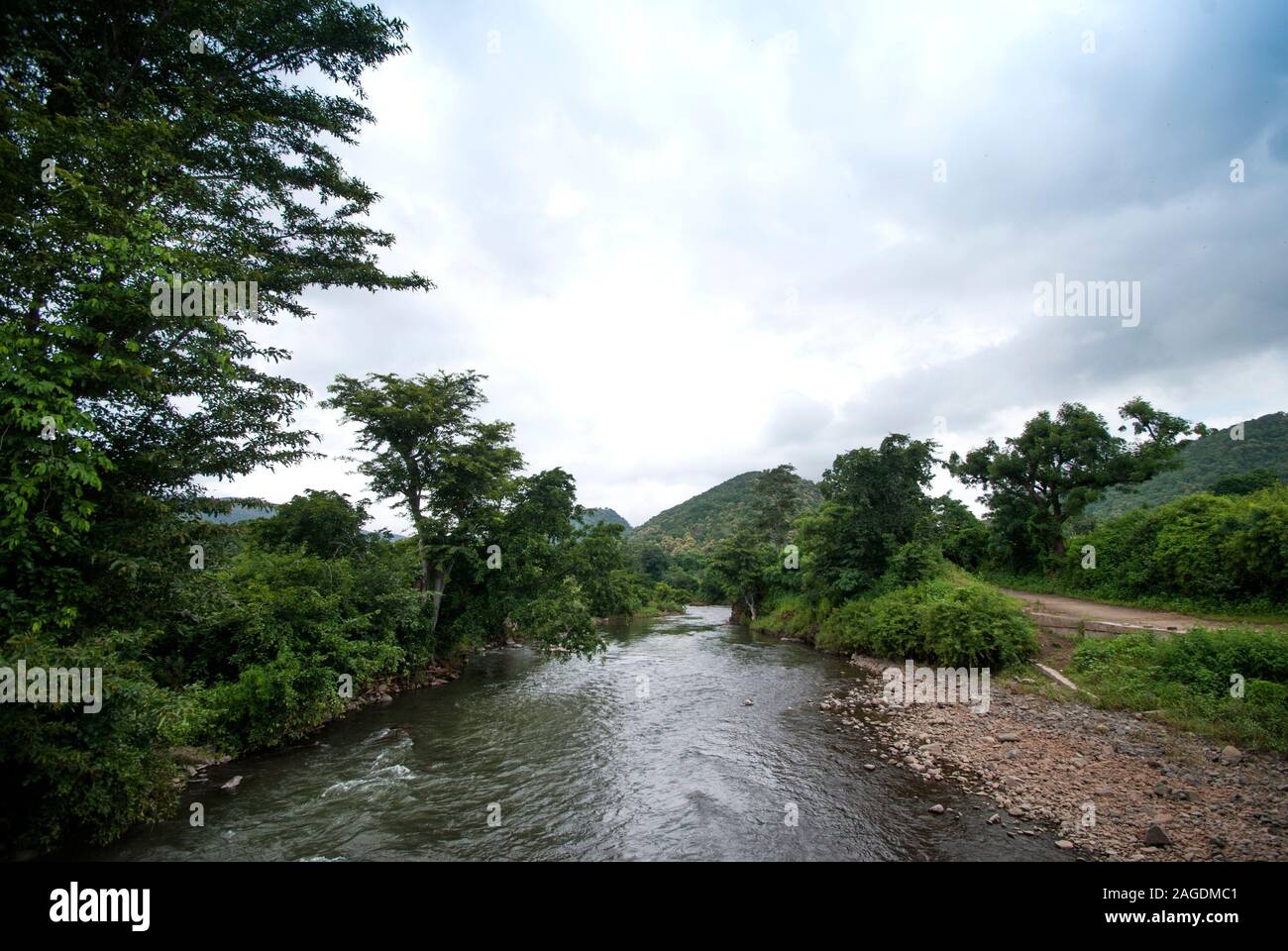Beautiful Landscape with trees and mountain Stock Photo - Alamy