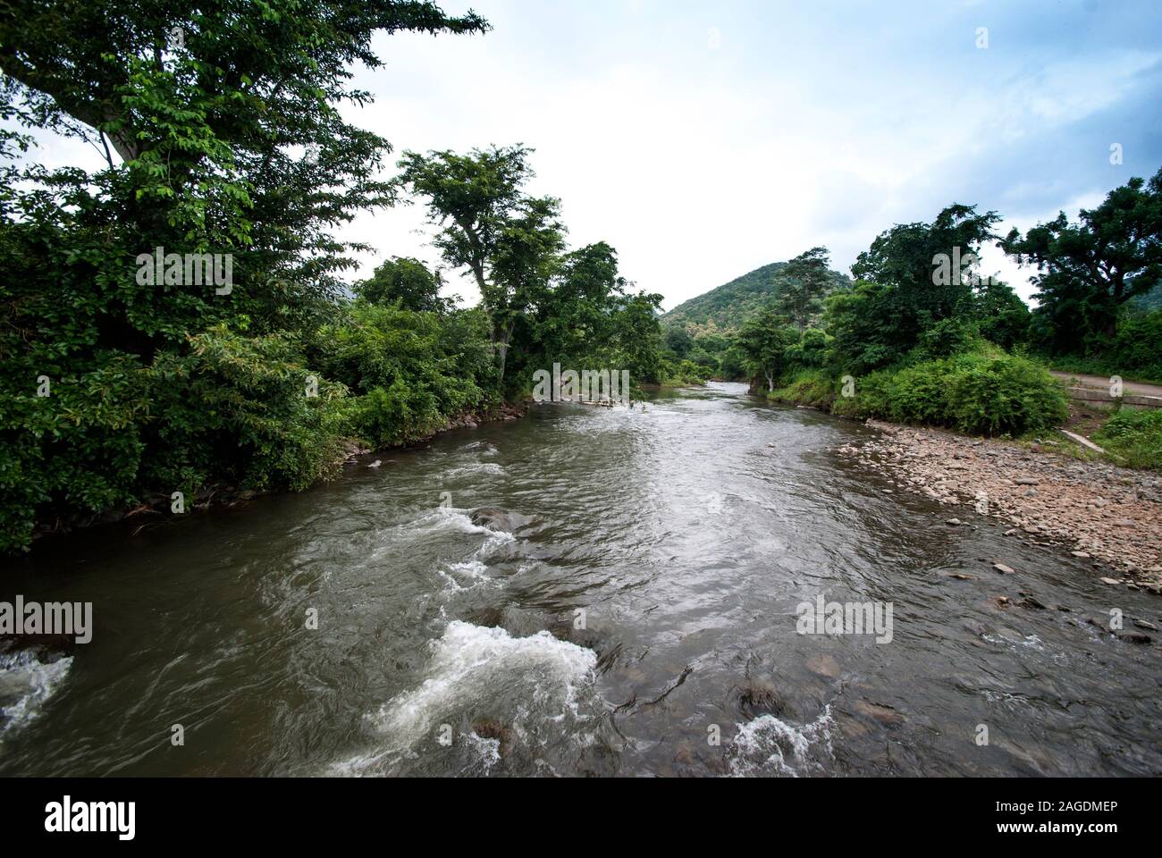 Beautiful Landscape with trees and mountain Stock Photo - Alamy