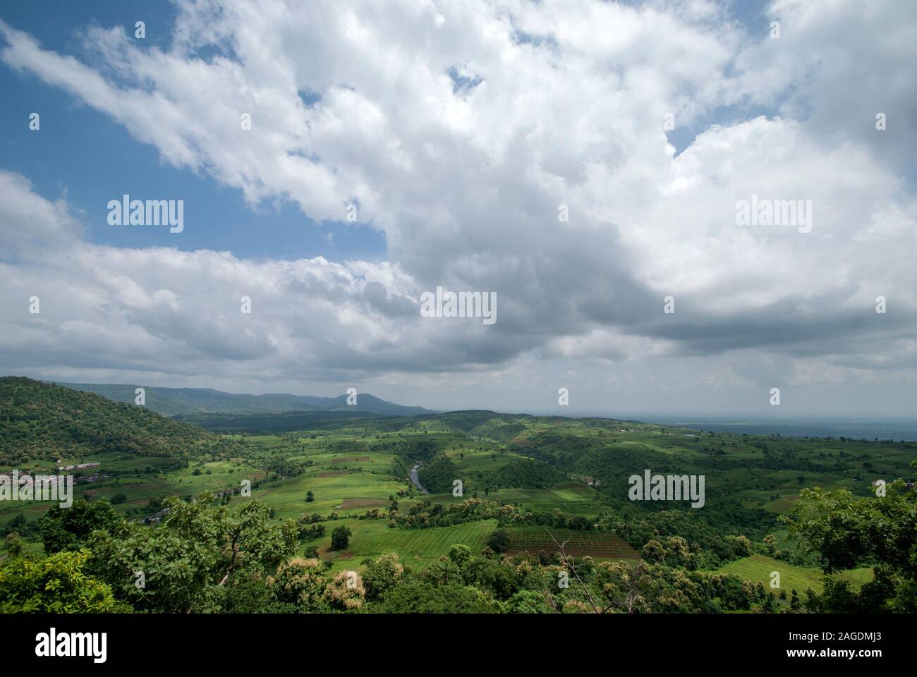 Beautiful Landscape with trees and mountain Stock Photo - Alamy