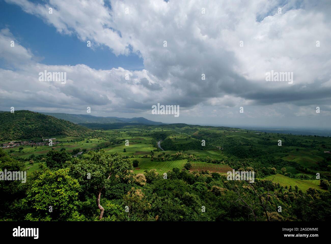 Beautiful Landscape with trees and mountain Stock Photo - Alamy