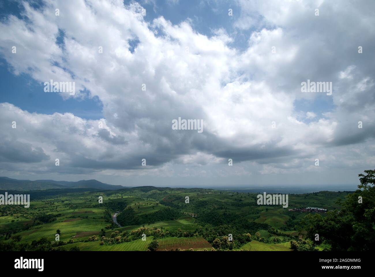 Beautiful Landscape with trees and mountain Stock Photo - Alamy