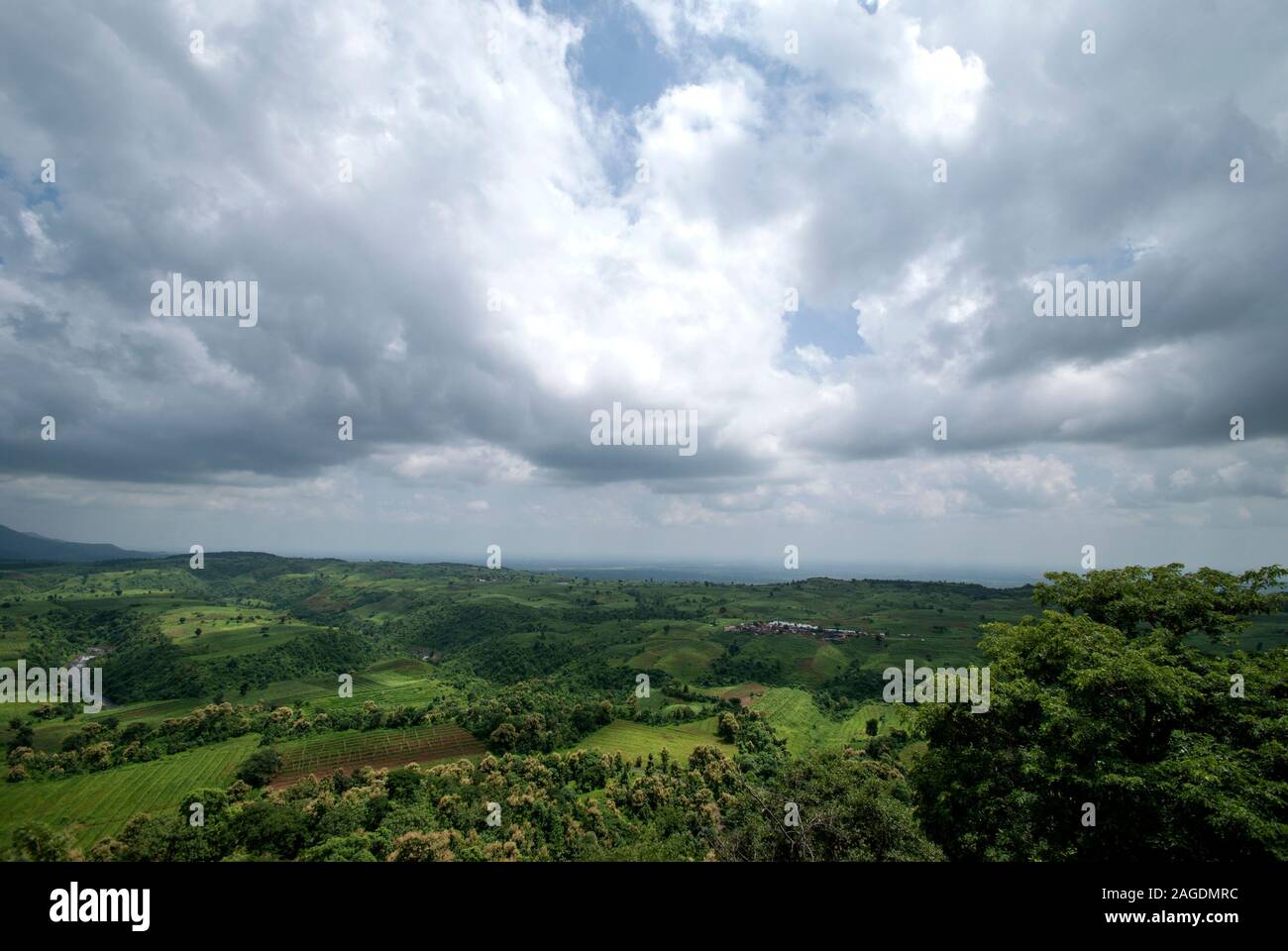 Beautiful Landscape with trees and mountain Stock Photo - Alamy