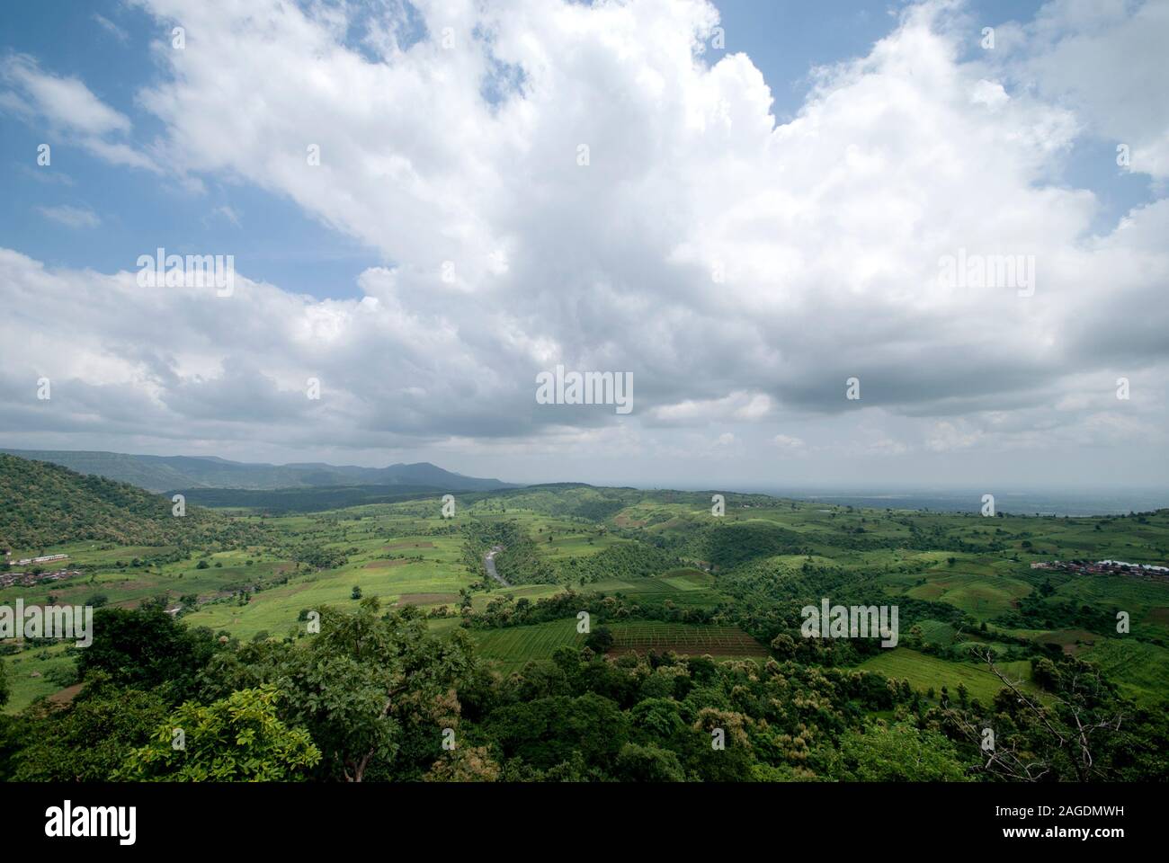 Beautiful Landscape with trees and mountain Stock Photo - Alamy