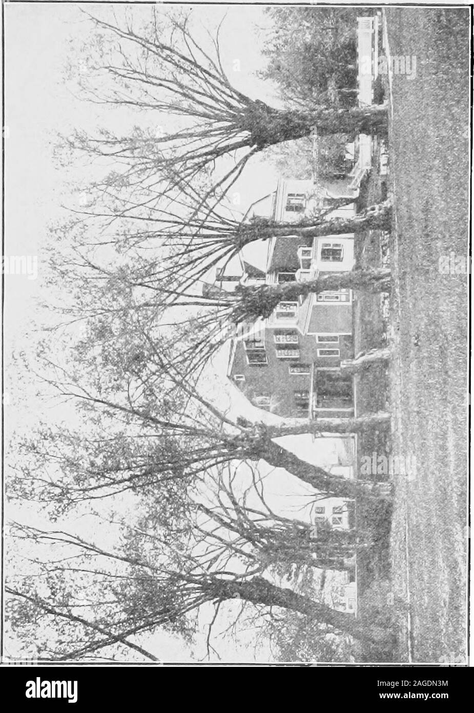 Write lesson Black and White Stock Photos & Images Alamy