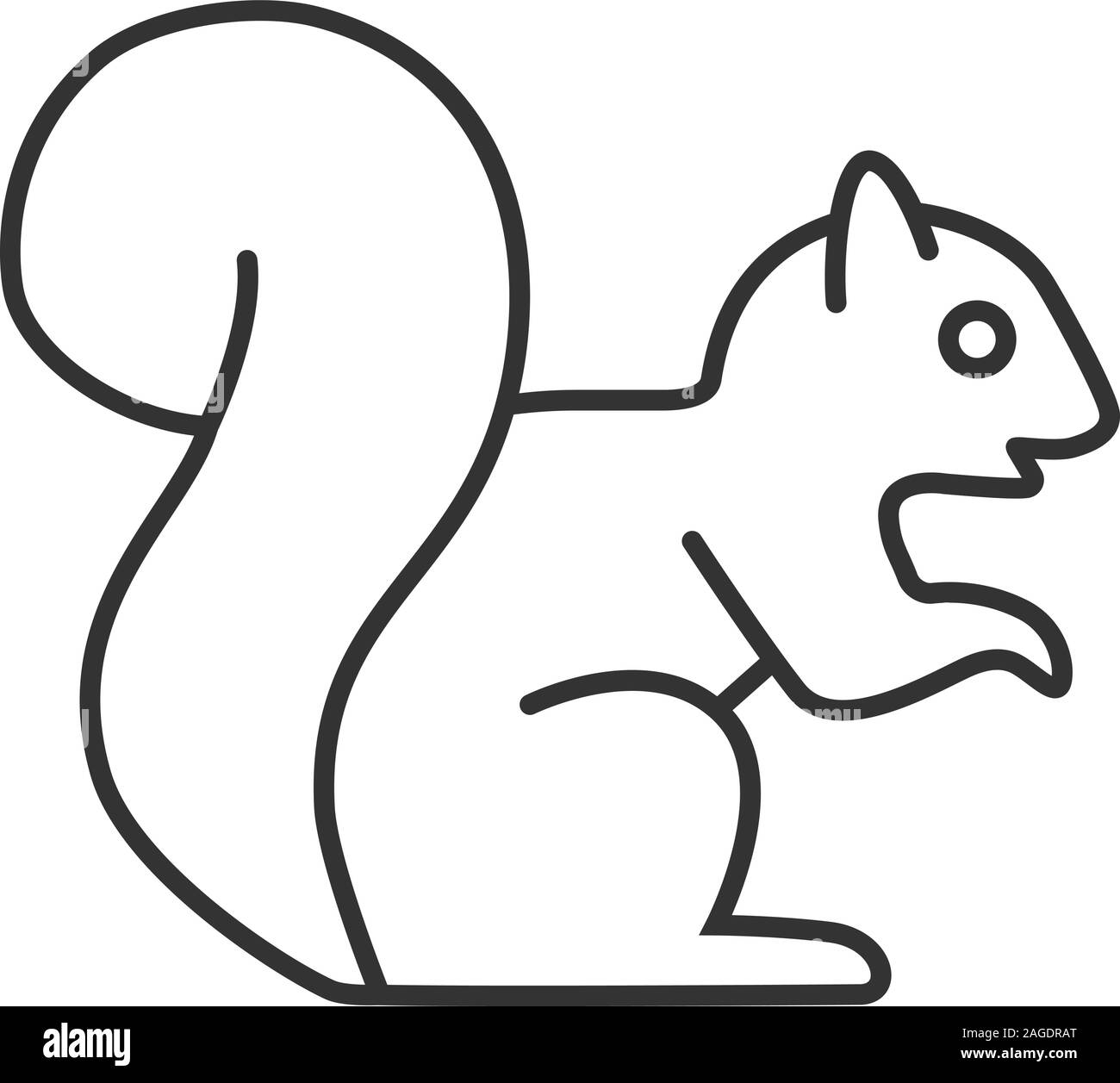 22 Fun and Easy Squirrel Drawings - Cool Kids Crafts