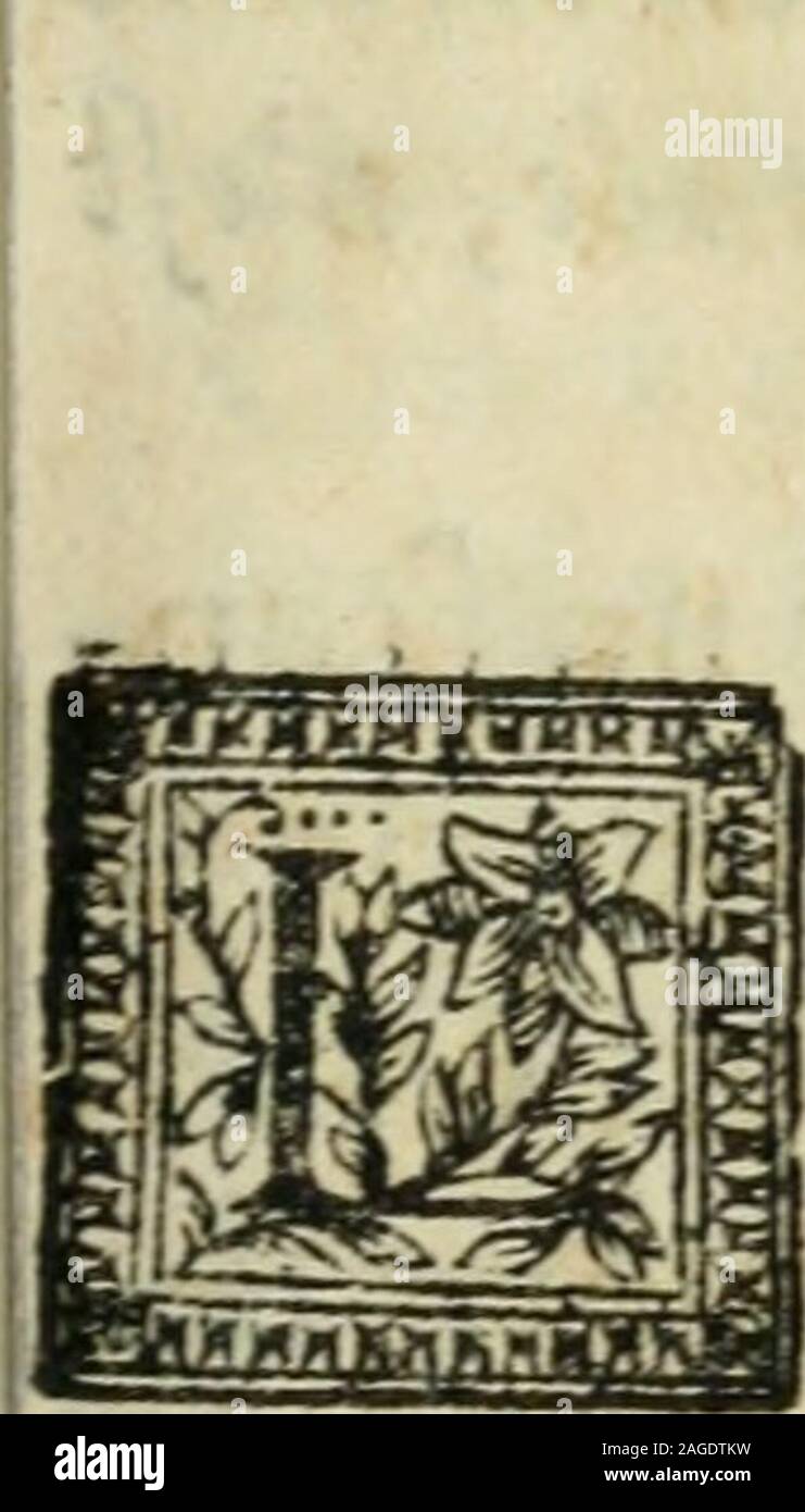 . Des decorations funebres, ou il est amplement traite' des tentures, des lumieres, des mausolées, catafalques, inscriptions & autres ornemens funebres; avec tout ce qui s'est fait de plus considerable depuis plus d'un siecle, pour les papes, empereurs, rois, reines, cardinaux, princes, prelats, sçavans & personnes illustres en naissance, vertu & dignitè, &c. ... DESCRIPTION DESCRIPTION DELA DECORATION FUNEBRE DE SAINTDExNIS.. rOVR LES OBSEQVESde la Kctnc. E fujet de ceccc Décoration ;efioic la réception du Corps dela Reine à S.Denis, ancien Mau-foiéc de nos Rois, &: la réce-ption de fon Ame d Stock Photo