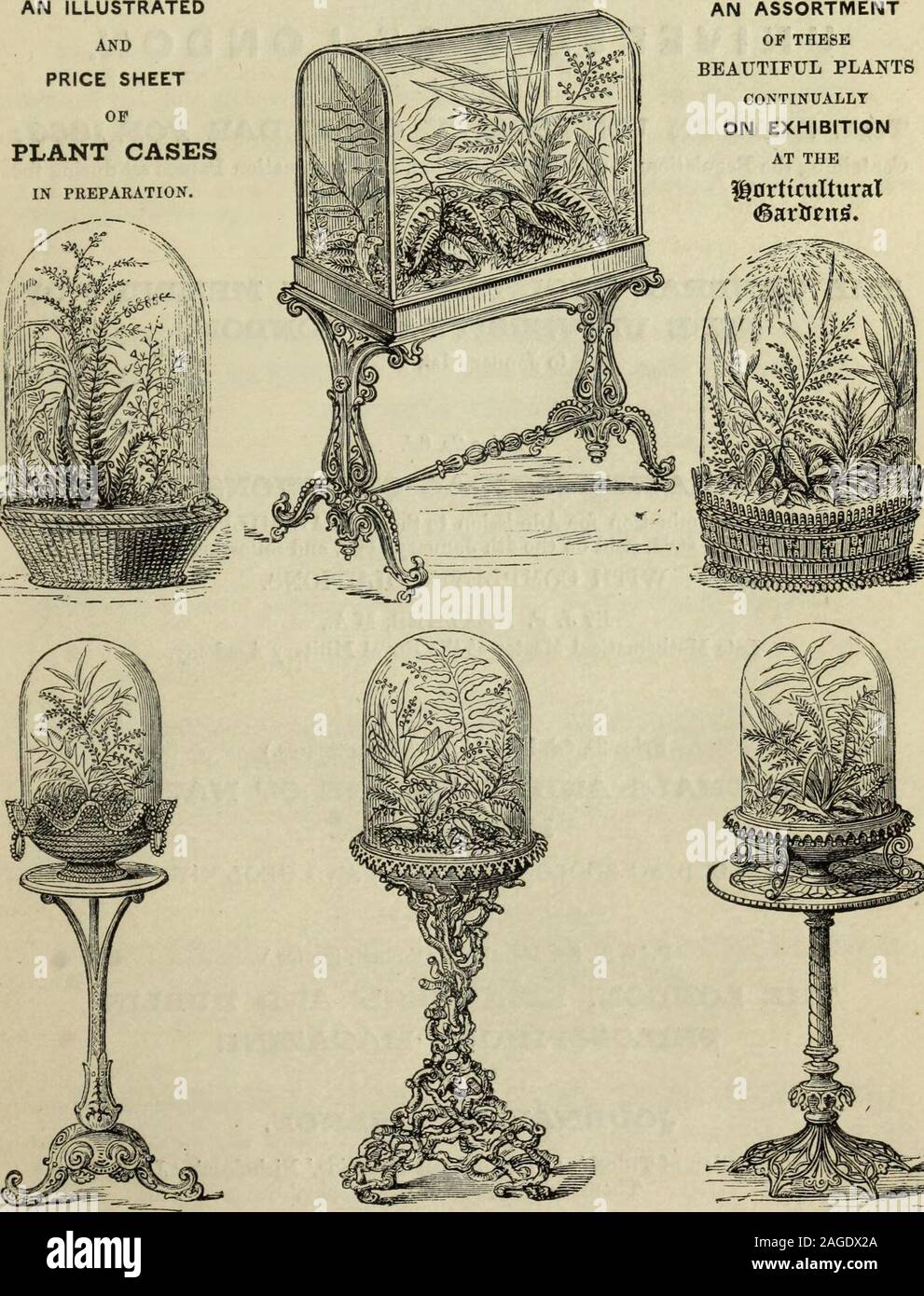 . Journal of the Royal Horticultural Society of London. , Conservatories, Parks, &c.Glass for Table Decoration, Hyacinth Vases, Fern Cases, and Window Conservatories.Articles for Table Decoration, Flower Stands, China Flower Pots, Sec.Glass for Table Decoration. Mintons Majolica Flower Pots, Garden Seats, Glassfor Table Decoration, &c. Decorative Florist, Estimates for Furnishing Con-servatories, Dinners and Balls, &c. Swiss Carvings, Flower Boxes, China Flower Stands,Pots, Jardinieres, &c. Conservatory Architects, Horticultural Builders,and Hot-water Apparatus Manufacturers. Hot-water Apparat Stock Photo