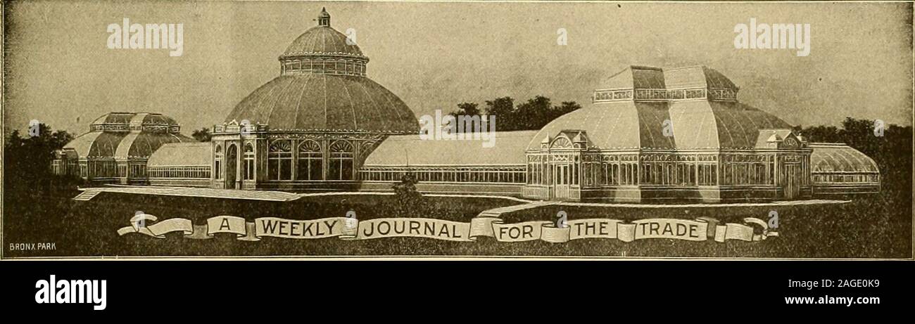 . The American florist : a weekly journal for the trade. Garden, Orchard and Greenhouse. Non-poisonous and harmless to vegetation. Kills Green Fly, Aphides, Bark Lice, Thrip, Mealy Bud. Red Spider. Scale, Wire Worms, Ants and Slnifs. This is the Growers Friend, handy to use. cheap and efiective, mixes readily in water. Destroys all insect pests and keeps down filth. Circulars on application. $1.50 per gallon. Also in quarts, half gallons and in bulk, PERFECTION CHEMICAL COFLUSHINQ, N. Y, J Please mention the A merican Fiorist when wriiin^,GET OUR PRICES ON Galvanized Wire Rose Stakes and Tying Stock Photo