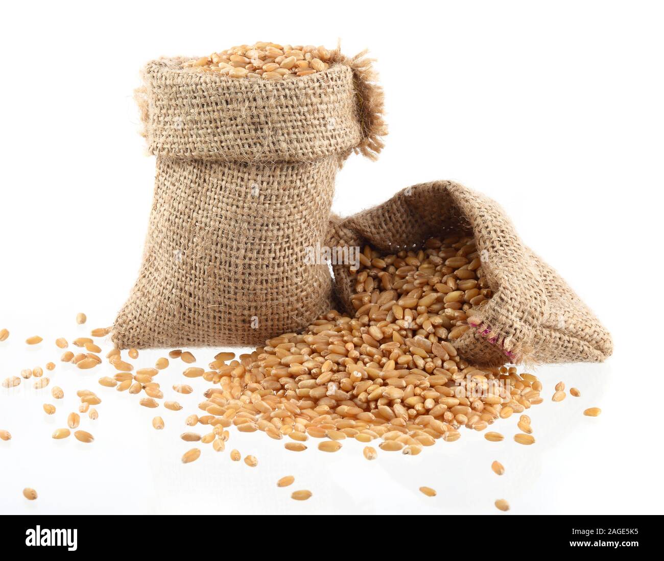 Ripe raw oat grains close hi-res stock photography and images - Alamy