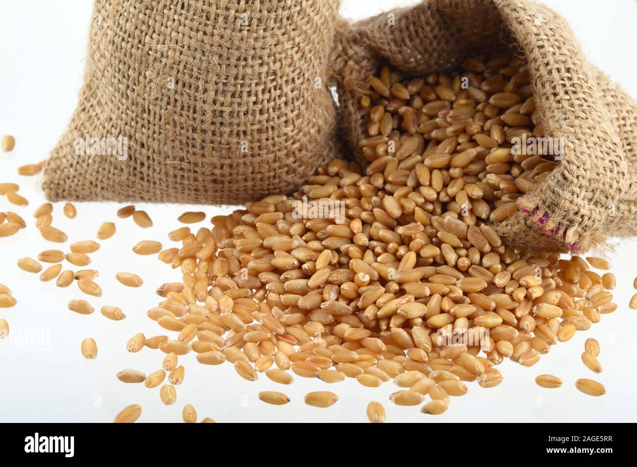 Ripe raw oat grains close hi-res stock photography and images - Alamy