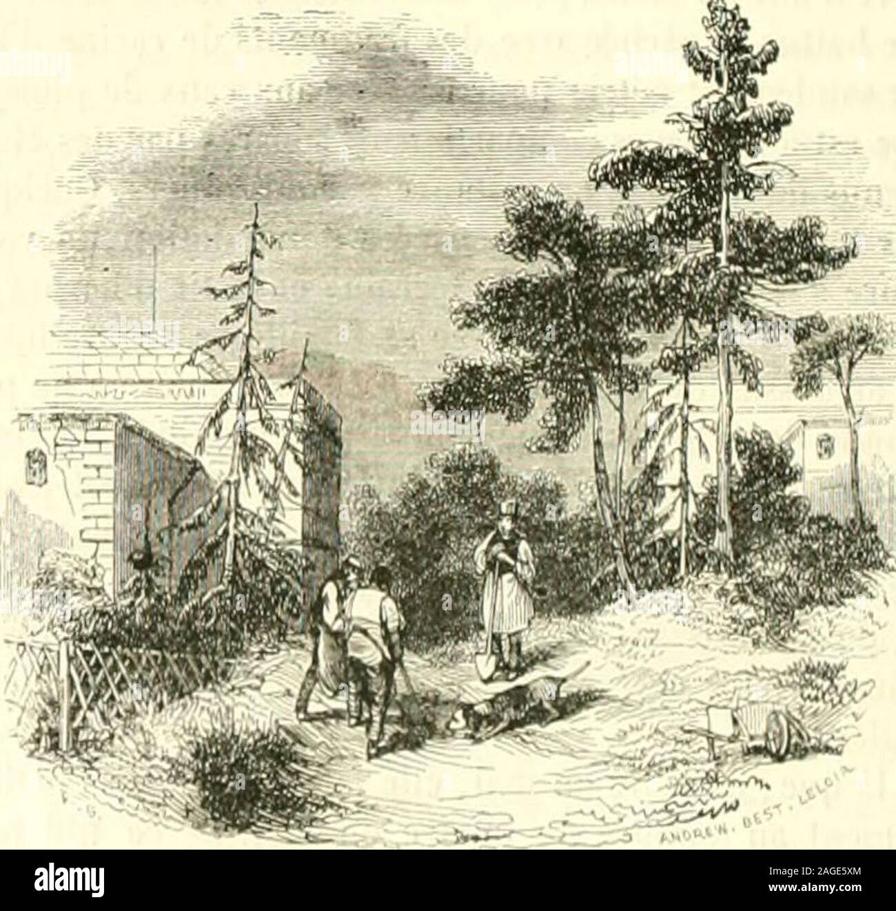 Extremites hi-res stock photography and images - Page 7 - Alamy, image size:1300x1321