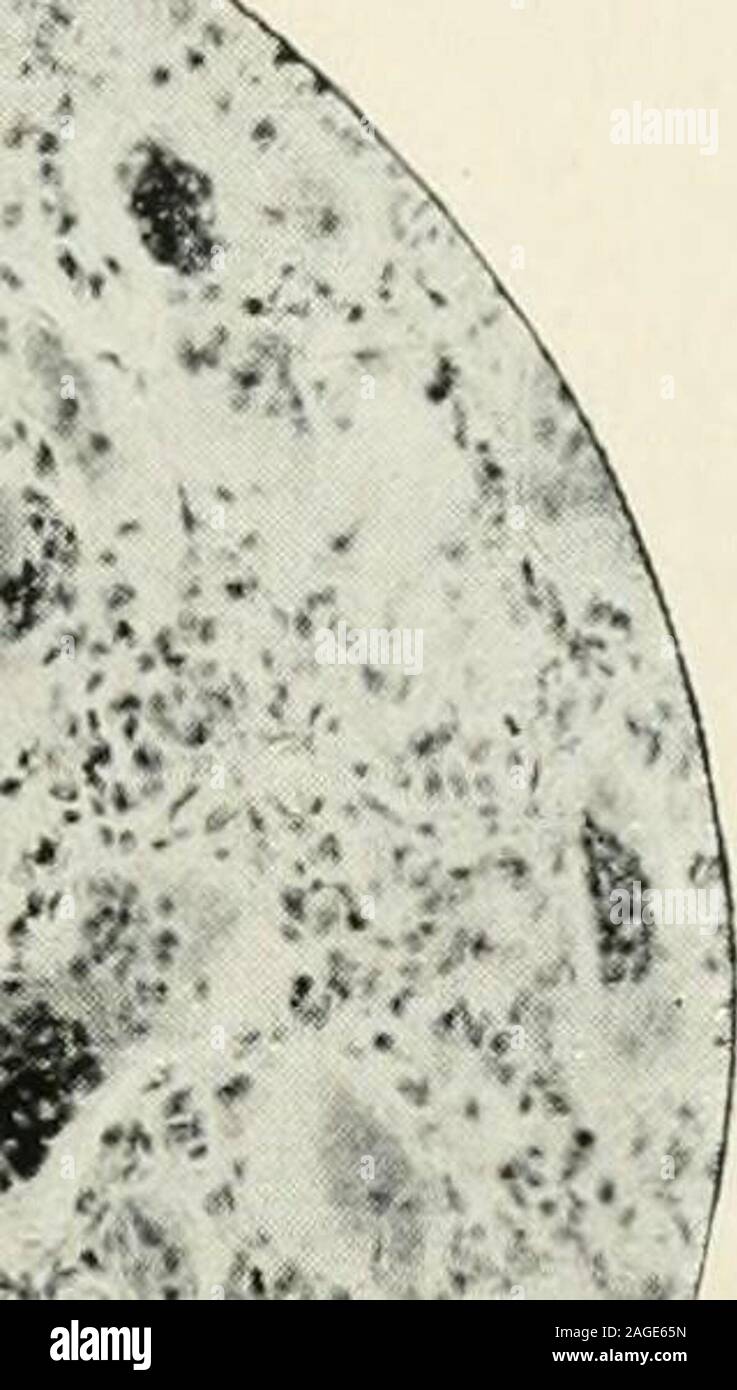 Microscopy methods hi-res stock photography and images - Alamy