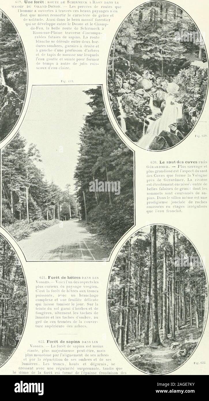 . Album géographique: La France. t>l. Forêt de hêtres da.ns lesûSGEs. — Vuici lun des aspects lesplus curieux du paysage vosgien.Cest lu forêt de hêtres aux troncspuissants, avec un branchagecomplexe et une feuillèe déli<-atequi laisse tamiser le jour. 8ur lateinte du sol garni dherbes et defougères, alternent les taclies delumière et les taches dombre, augré de CCS trouées de la couver-turc supérieure des arljrcs. ii2-i. Forêt de sapins dans lesVsranchages supérieurs. PAYS ALSACŒN ET LORRAIN 233 Stock Photo