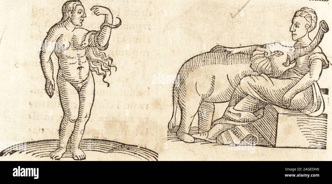 . Prodigiorvm ac ostentorvm chronicon : quae praeter naturae ordinem, motum, et operationem, et in svperioribus & his inferioribus mundi regionibus, ab exordio mundi usque ad haec nostra tempora, acciderunt .... fus* Anridmuri 2 $2 De pf odigiis. Anno Ghri^ftum. Stock Photo