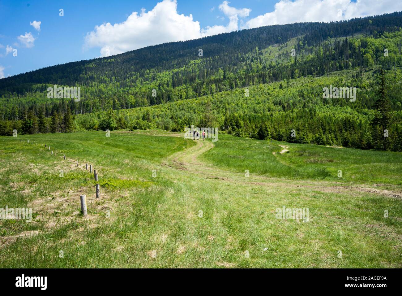 Green grassy field surrounded by high mountains under the cloudy sky ...