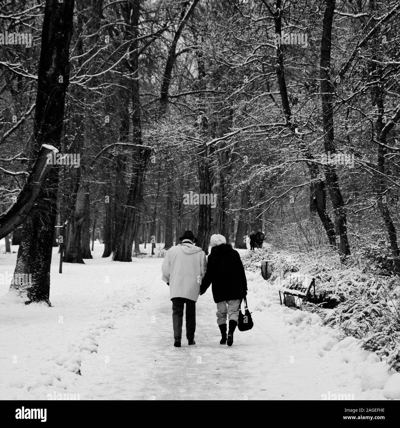 Woman nordic walking Black and White Stock Photos & Images - Alamy