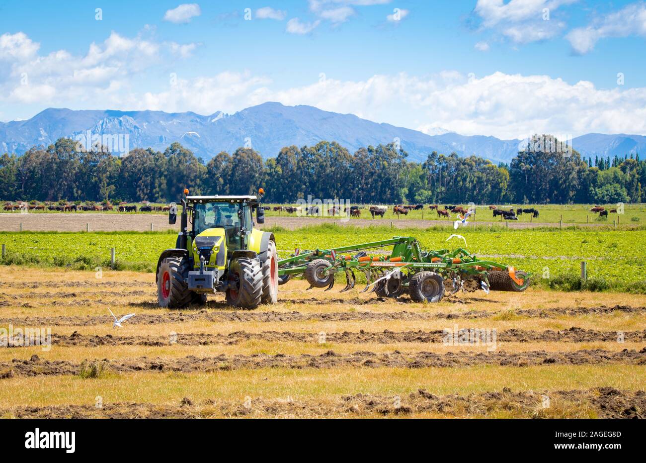 Tarras, South Island, New Zealand, December 9 2019: A Claas tractor and an Amazone plough at work in a rural field in early summer Stock Photo
