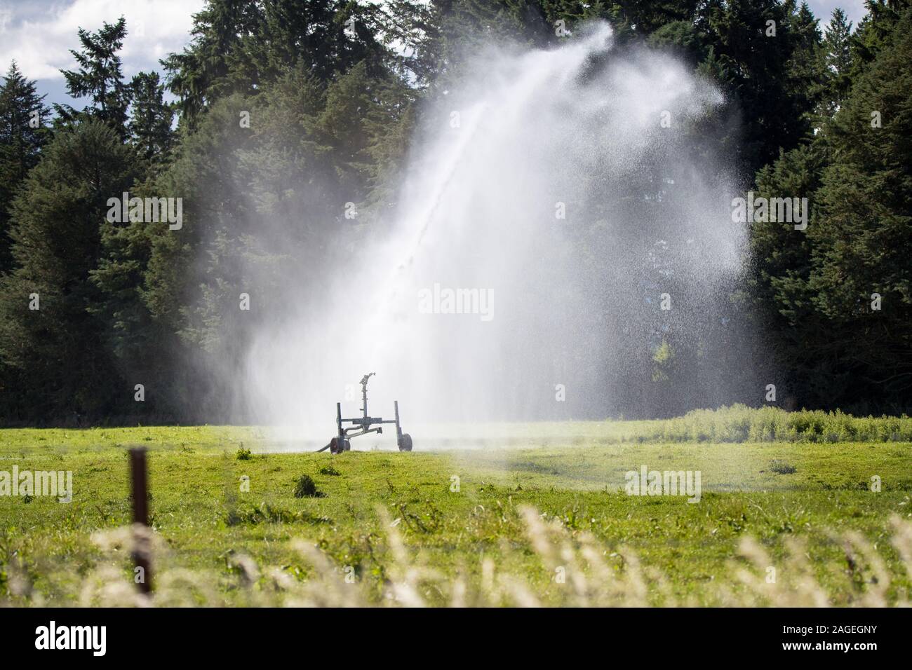 A portable irrigator at work on a rural farm field, Otago, New Zealand Stock Photo