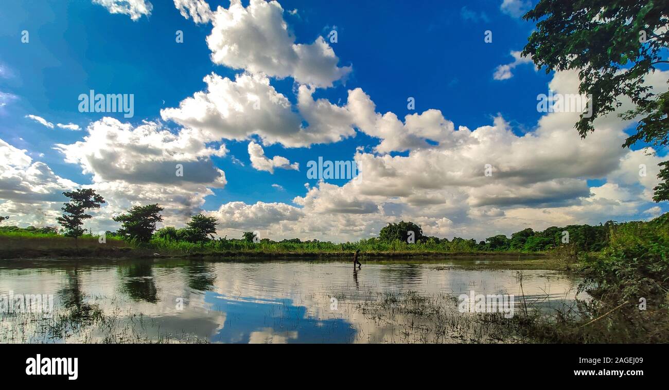 Landscape of a lake surrounded by greenery under a blue cloudy sky ...