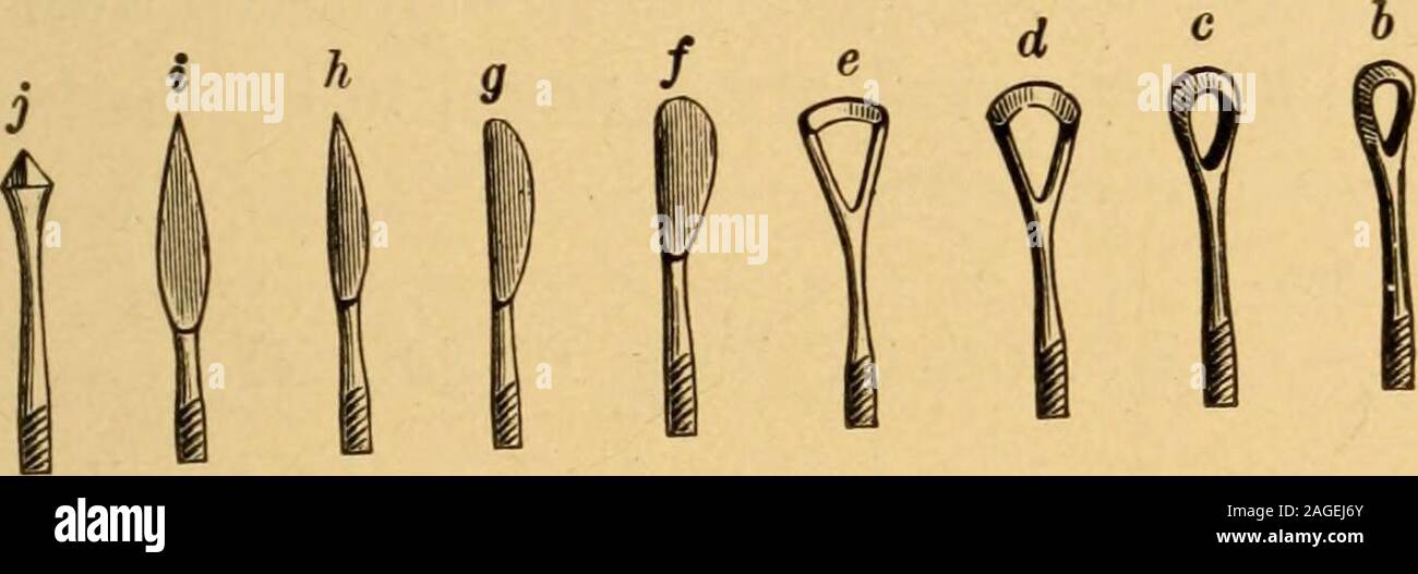 . A manual of diseases of the nose and throat. be both constitu-tional ...