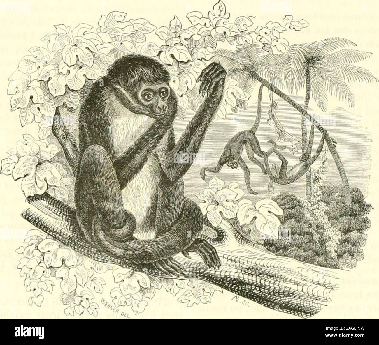 Bookyear1851 Hi Res Stock Photography And Images Page 2 Alamy