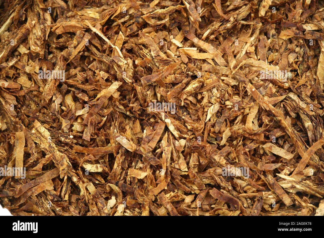how is tobacco used for medicine Surprising Historical Medical Practices and Tobacco Use