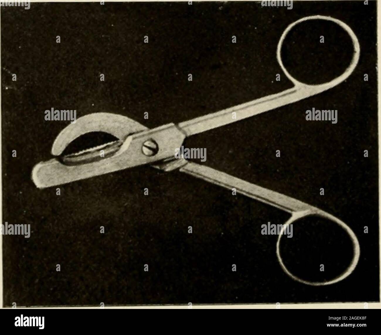 . Animal castration a book for the use of students and practitioners