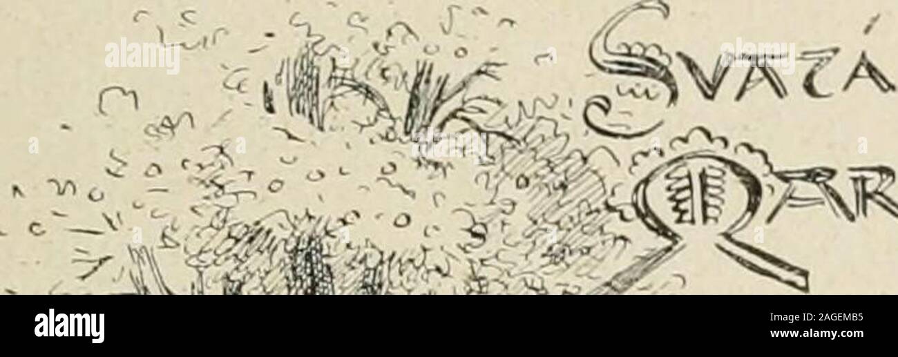 . Máj. VE?ER P?EDE ŽN?MI. 27. 2. 1910.. j^&lt;YTA :MiIS,iM^^^M ..p Stock Photo