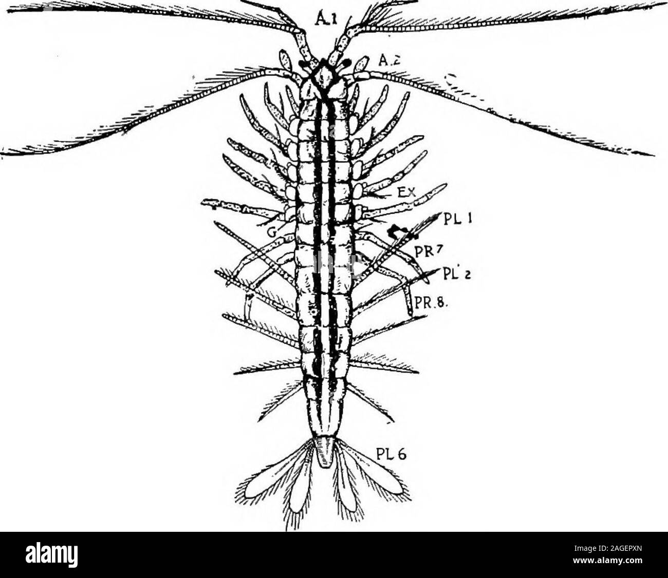 Waterforms Cut Out Stock Images & Pictures Alamy