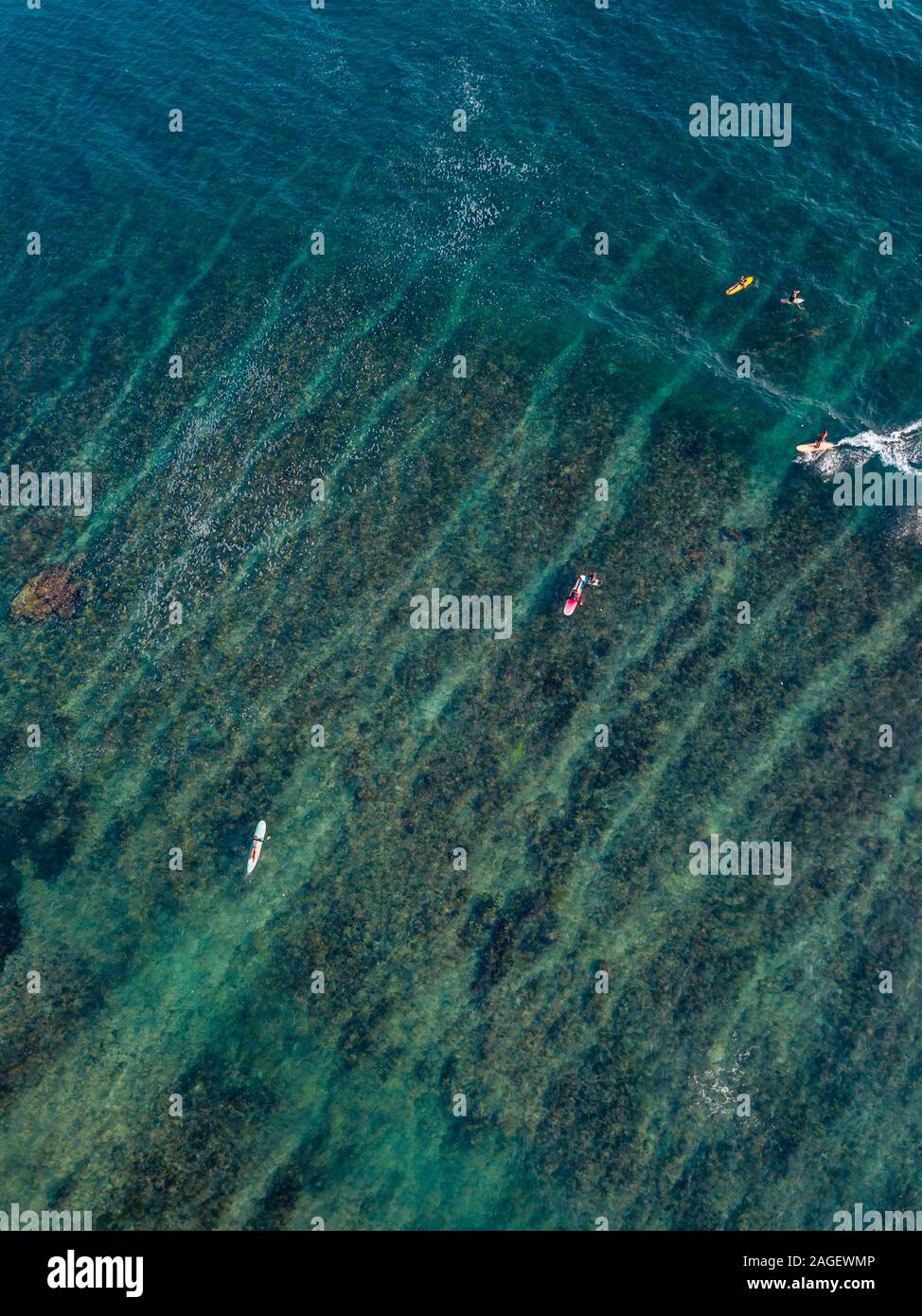 Overhead wave surfers hi-res stock photography and images - Alamy