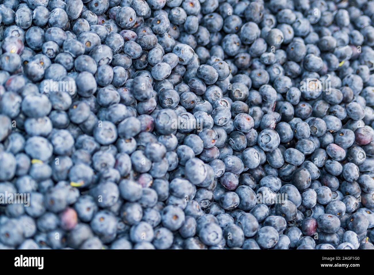 Blueberry top view hi-res stock photography and images - Alamy