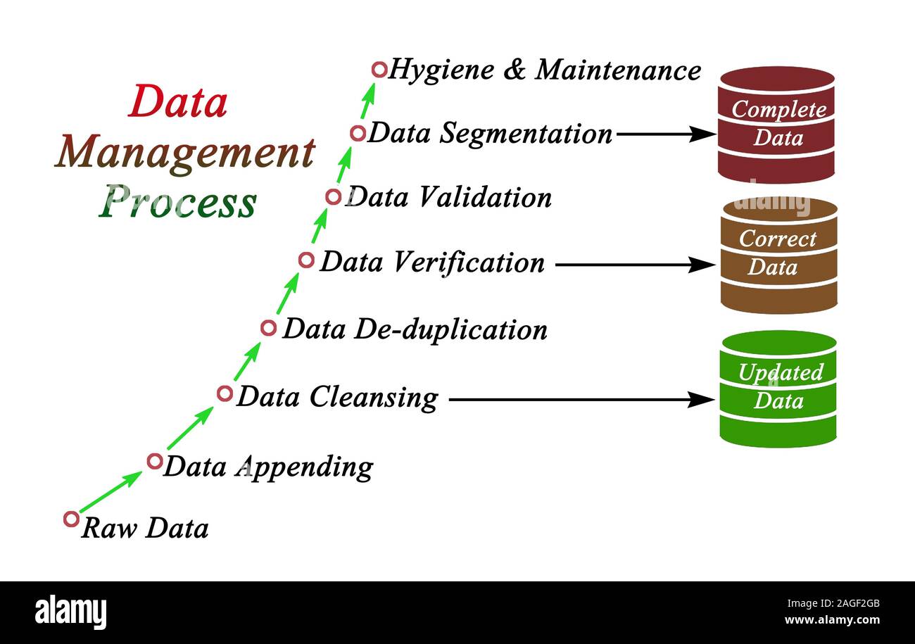Components of Data Management Process Stock Photo - Alamy