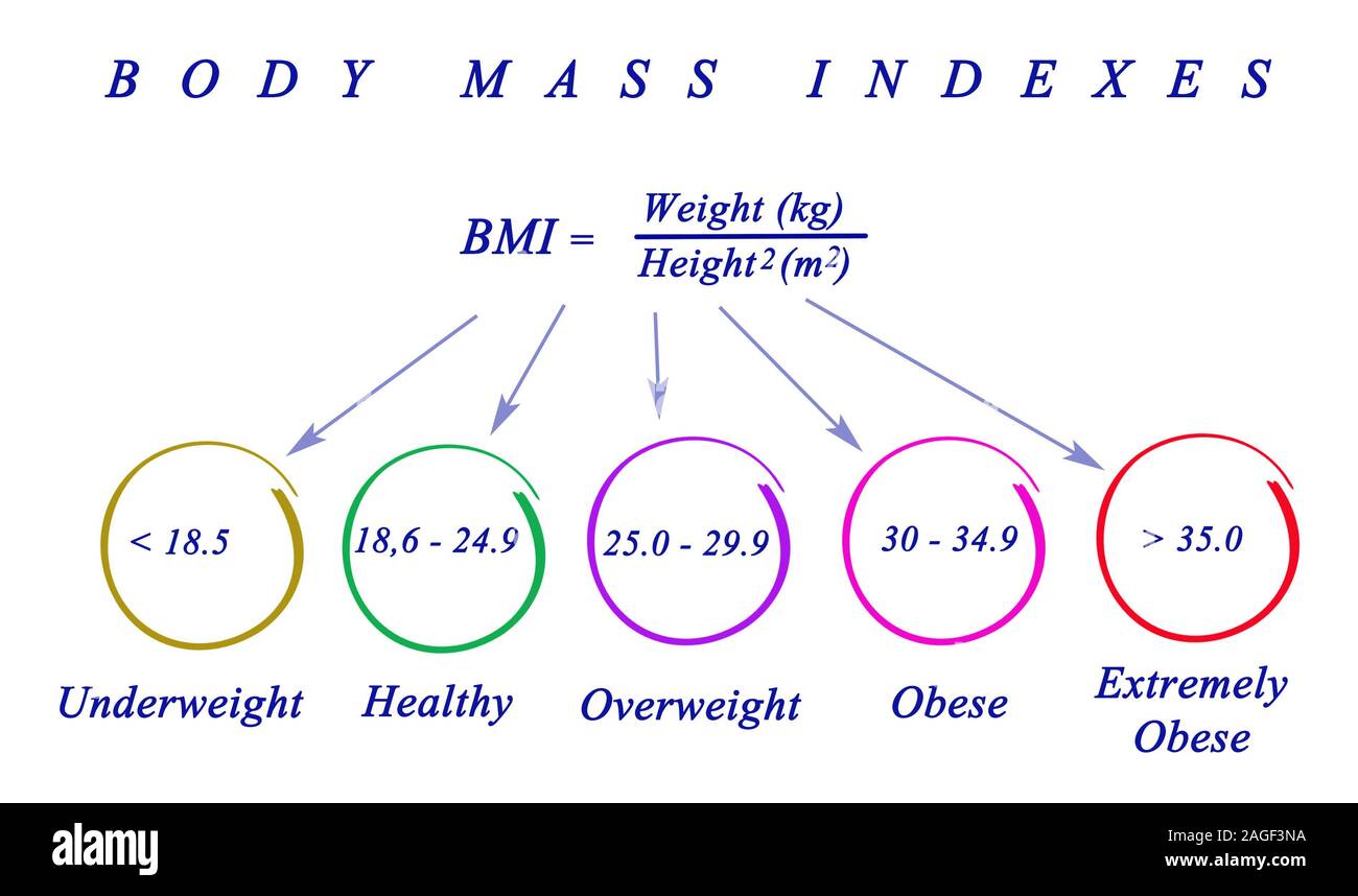 56 hi-max. Max index. Ээг картирование головного мозга. Max index. Skeinforge.