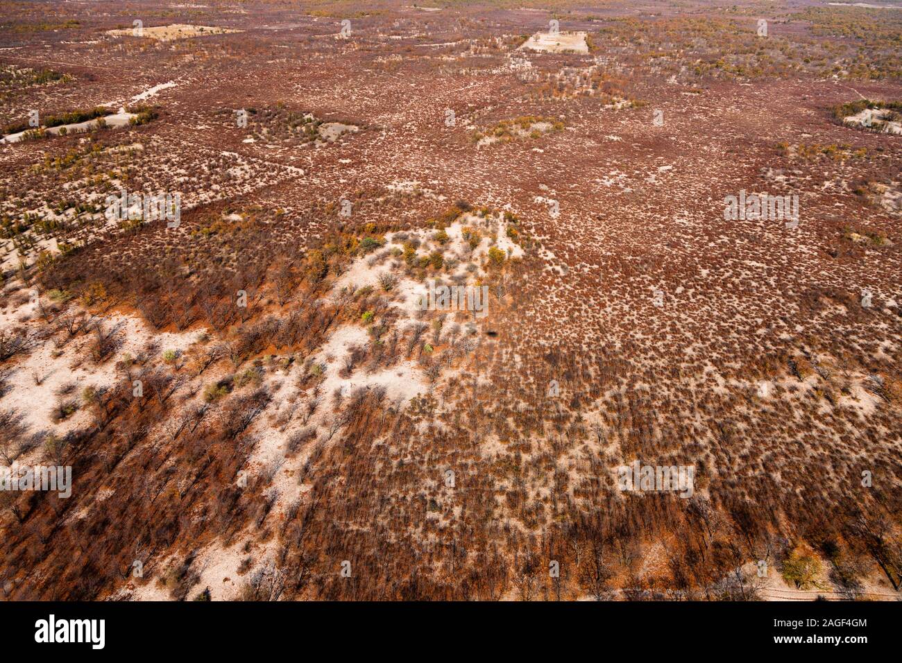 Bush and desert area near Maun, Aerial view of Okavango delta, by helicopter, Botswana, Africa Stock Photo