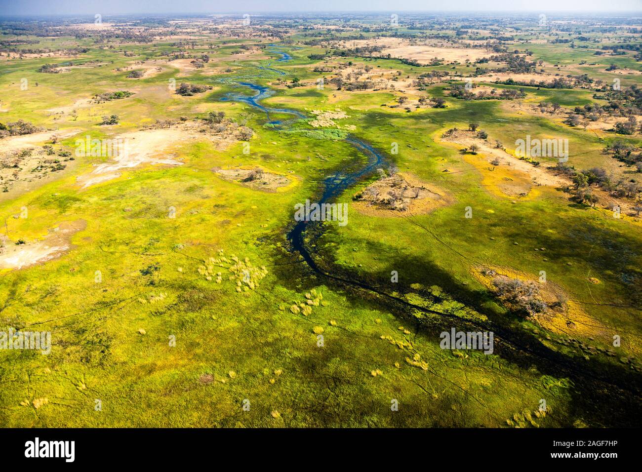 Green swamp and wetlands, grasslands, river, aerial view of Okavango
