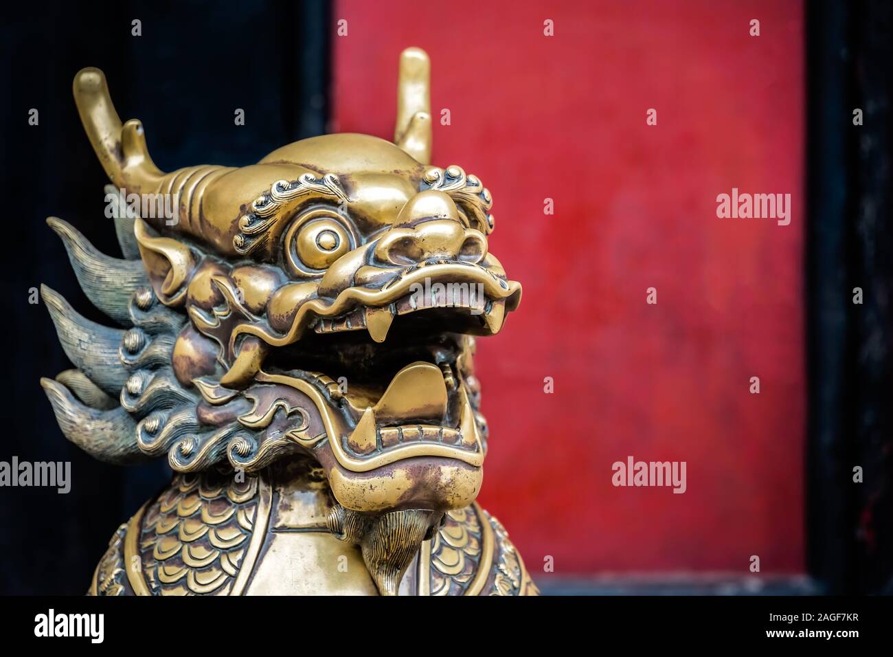 Statue of mystical Chinese golden brass guardian lion on red wall ...