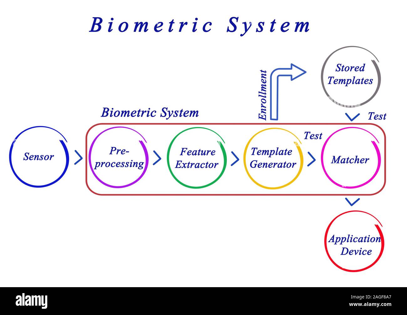 Diagram of Biometric System Stock Photo