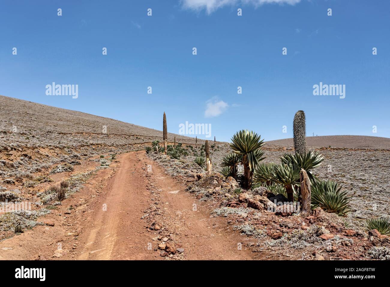 Lolibela hi-res stock photography and images - Alamy