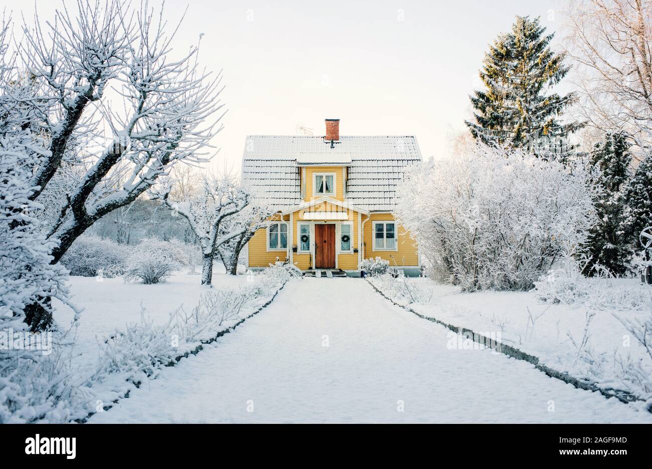 traditional Swedish yellow wooden home covered in snow at sunset Stock Photo