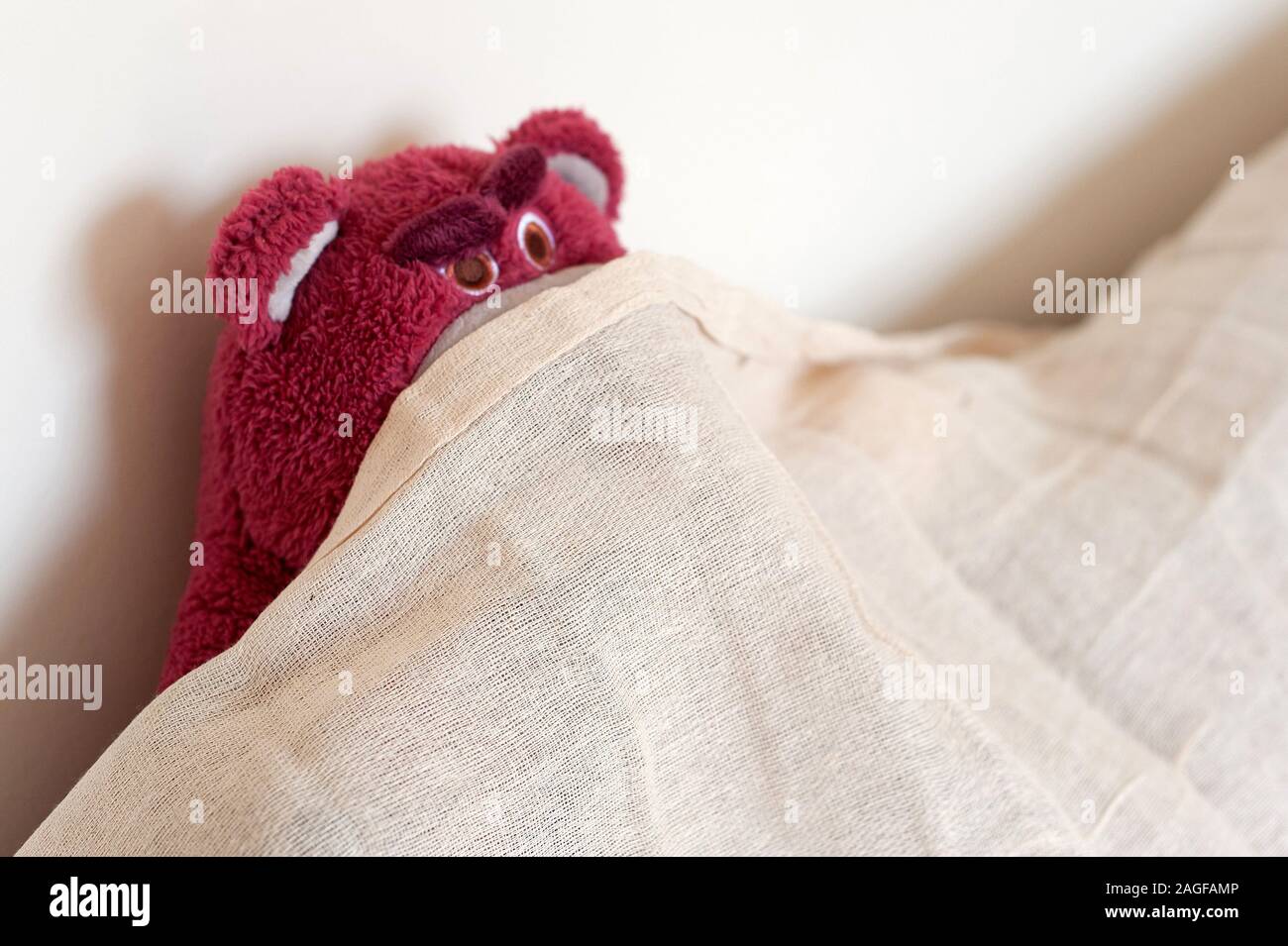 Pink toy bear tucked under bed sheets Stock Photo Alamy