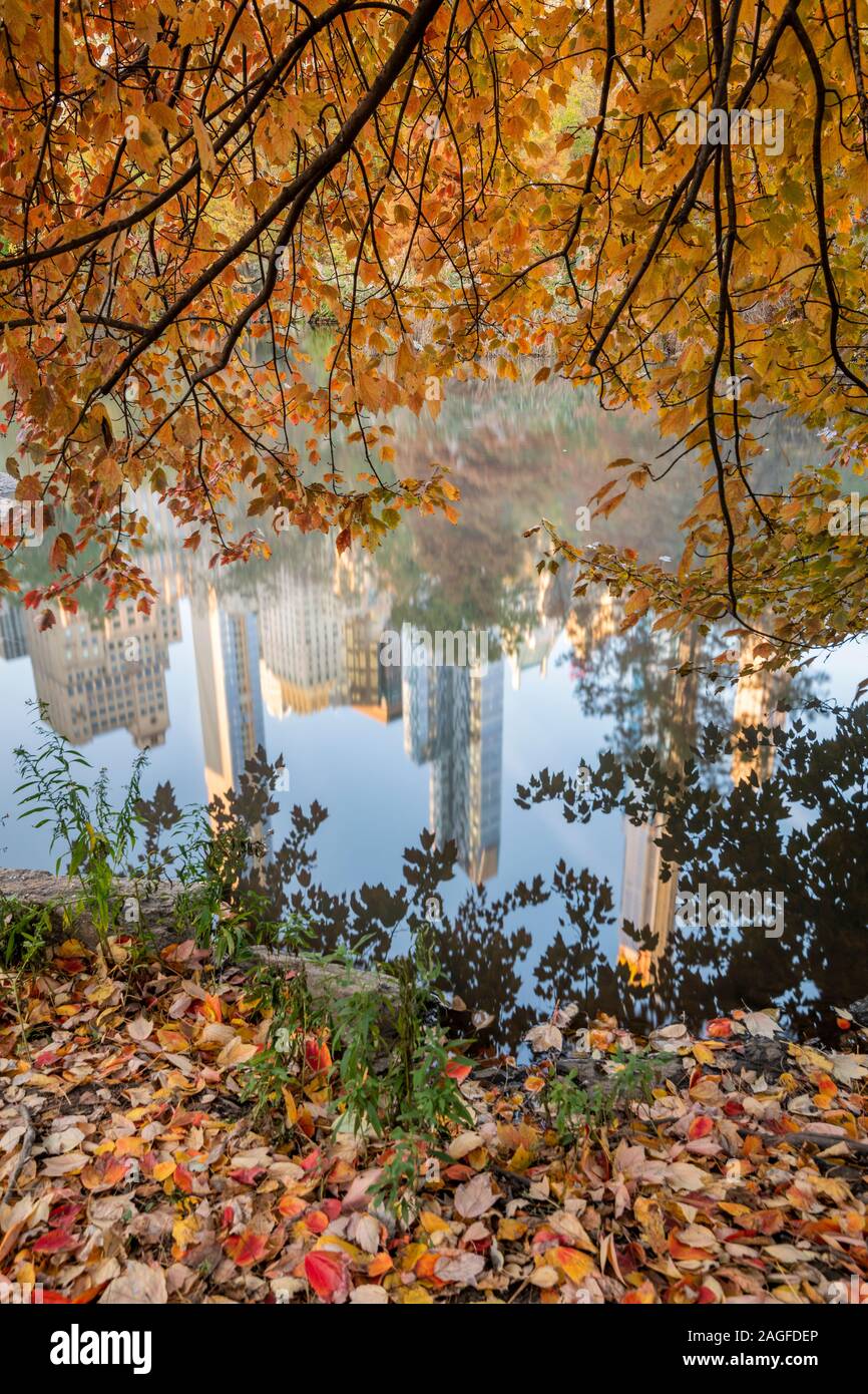 Fall foliage, Central Park, Manhattan, New York, USA Stock Photo - Alamy